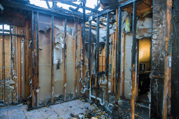 Professional Fire Damage Assessment technician working in Edgewater, FL